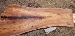 Live Edge Elm 1012 Front Side