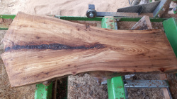 Live Edge Elm 1013 Back Side