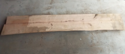 Live Edge Maple Slab id 5011