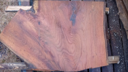 Live Edge Oak Slab id 3012 Front Side