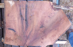 Live Edge Oak Slab id 3012 Back Side